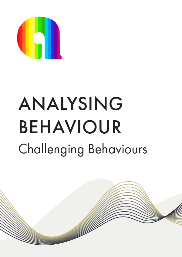 Analysing Behaviour